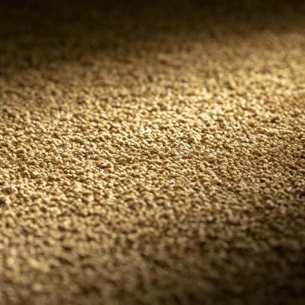 JAB Allure Teppichboden 445 Sonne – Draufsicht auf sonnigen Gelbton mit wohnlicher Wärme